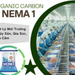 Organic Carbon xử lý mùi chế biến thủy sản