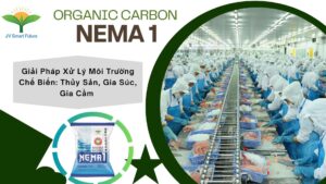 Organic Carbon xử lý mùi chế biến thủy sản