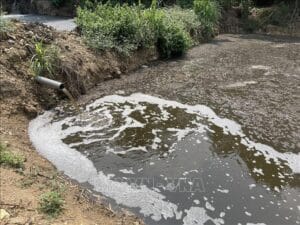 Among the types of waste from livestock activities, pig farm wastewater is one of the most challenging to treat