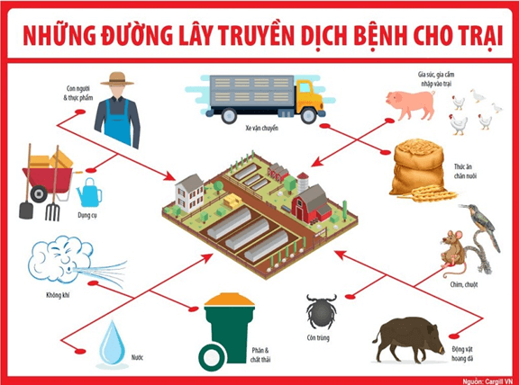 Diagram of African Swine Fever transmission routes