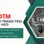 DTM TRAI HEO