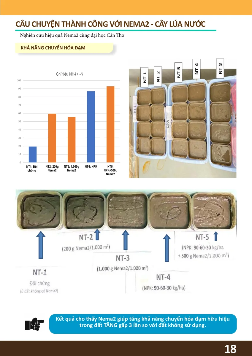 Biểu đồ khoa học chứng minh NEMA2 giúp tăng cường chuyển hóa đạm hữu hiệu trong đất