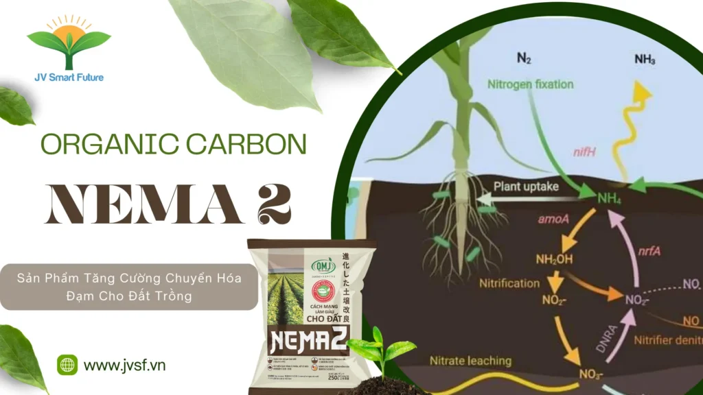 Products to Enhance Nitrogen Conversion for Soil (1)