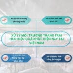 xu ly moi truong trang trai heo hieu qua nhat hien nay tai Viet Nam