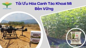 Toi uu hoa canh tac khoai mi san 1