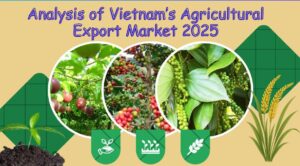 Analysis-of-Vietnams-Agricultural-Export-Market-2025