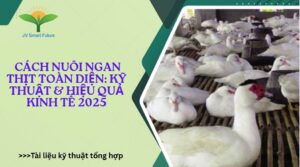 Cách nuôi ngan thịt hiệu quả