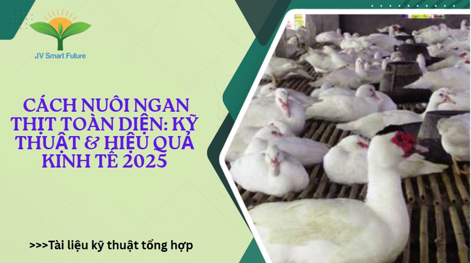 Cách nuôi ngan thịt hiệu quả