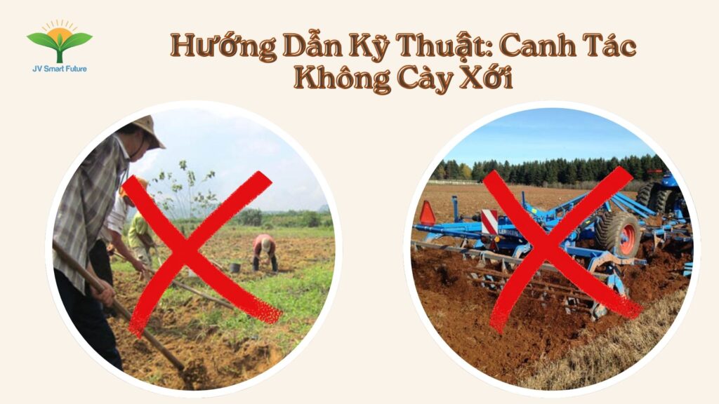 No-Till Farming: A Comprehensive Analysis & Potential in Vietnam
