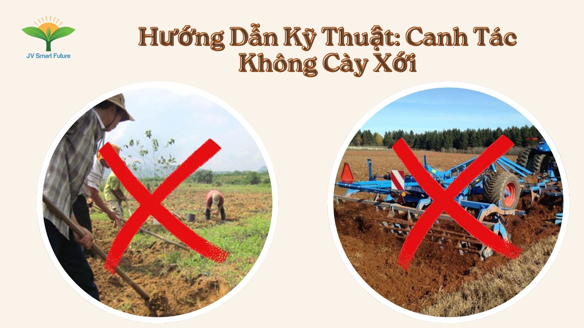 Hướng dẫn kỹ thuật canh tác không cày xới