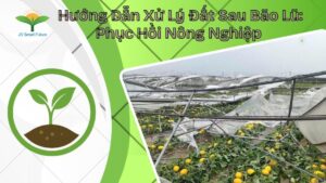 Hướng Dẫn Xử Lý Đất Sau Bão Lũ: Phục Hồi Nông Nghiệp
