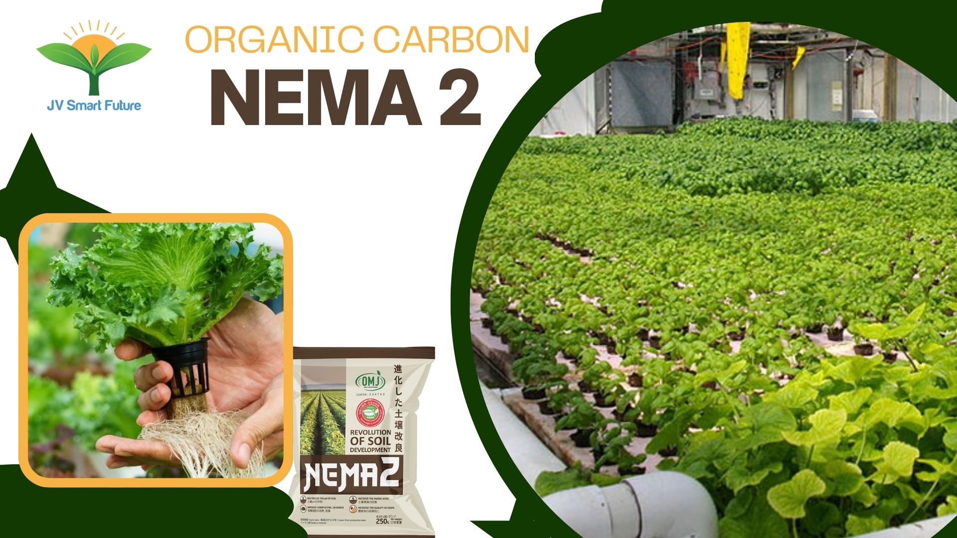 Nema2 ứng dụng trồng thủy canh