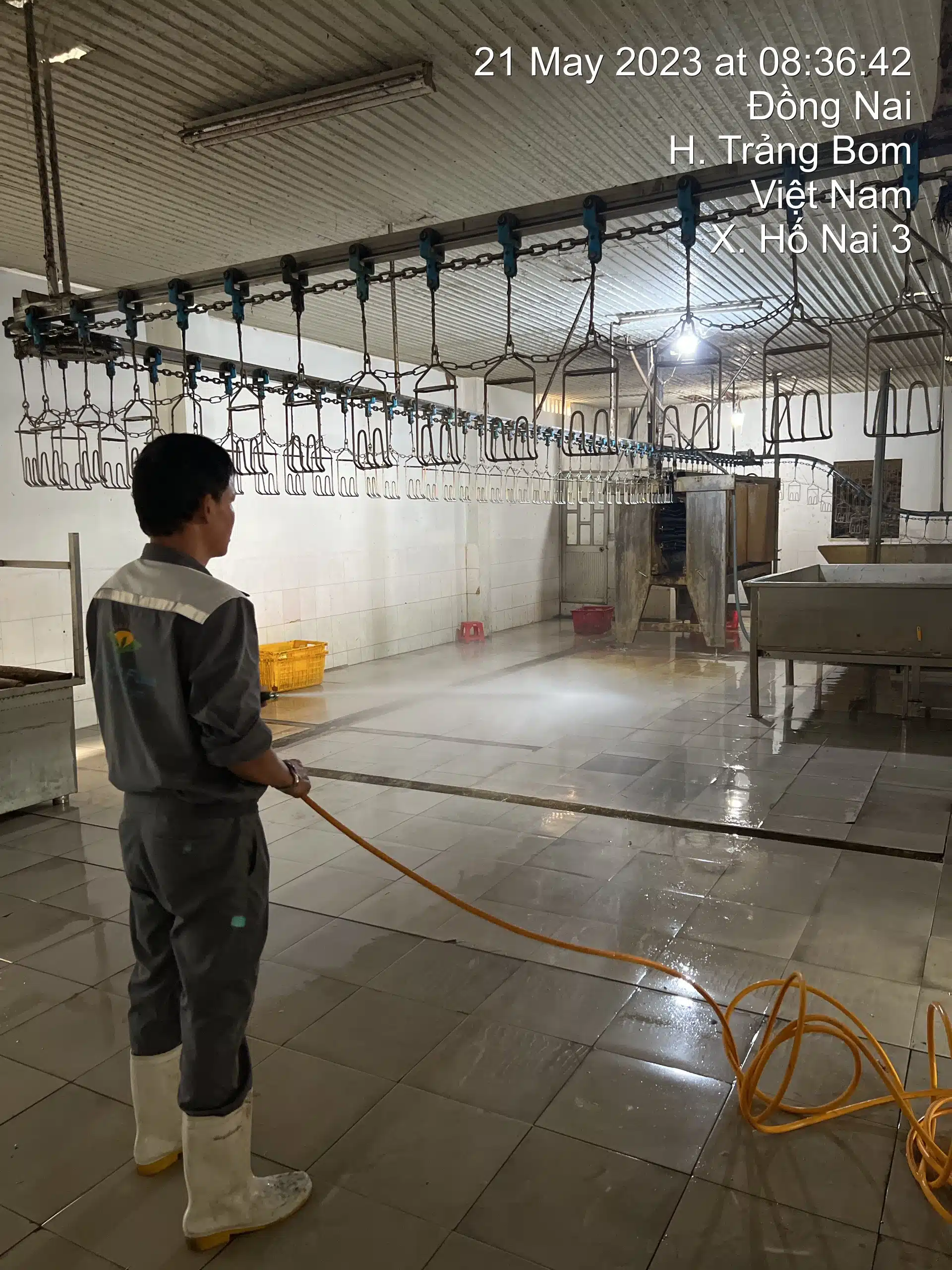 XỬ LÝ MÙI HÔI TANH MÔI TRƯỜNG CHẾ BIẾN THỦY SẢN,GIA SÚC, GIA CẦM 2 Phun xịt vệ sinh với dung dịch chứa Organic Carbon