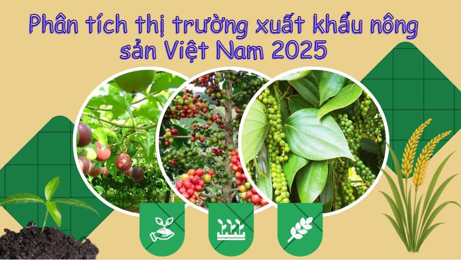 Phân tích thị trường xuất khẩu nông sản Việt Nam