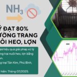 Kết quả xử lý môi tường trại heo bằng organic carbon NEMA1.