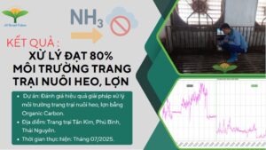 Kết quả xử lý môi tường trại heo bằng organic carbon NEMA1.