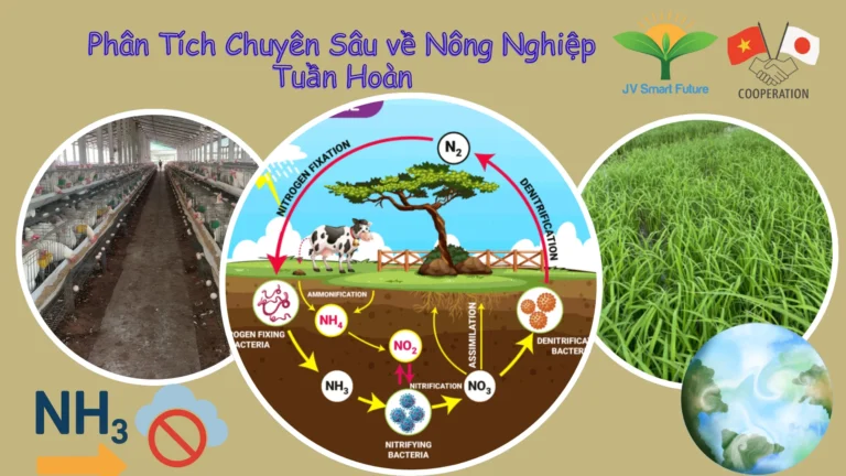 Phân Tích Chuyên Sâu về Nông Nghiệp Tuần Hoàn.