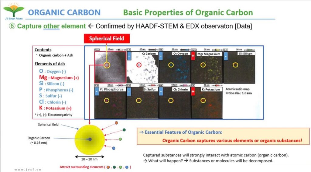 HOME 40 Organic Carbon can absorb elemental ions from macro secondary and micronutrients