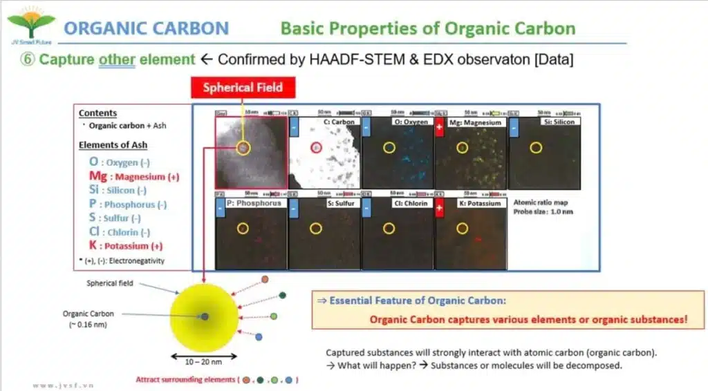 Organic Carbon can absorb elemental ions from macro secondary and micronutrients