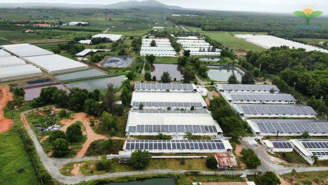 Trang trại heo CNC sử dụng Organic Carbon NEMA2 xử lý môi trường - Ảnh 1