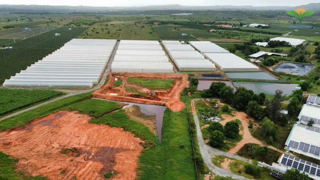 Trang trại heo CNC sử dụng Organic Carbon NEMA2 xử lý môi trường - Ảnh 10