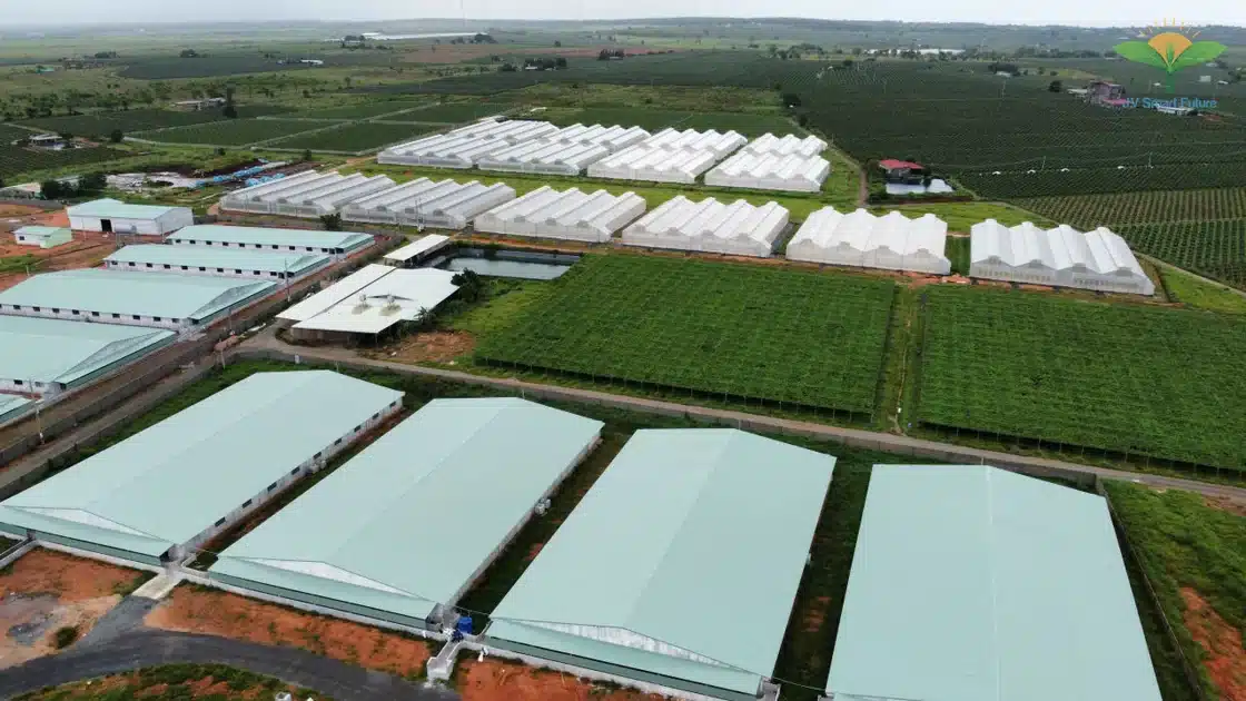 Trang trại heo CNC sử dụng Organic Carbon NEMA2 xử lý môi trường - Ảnh 2