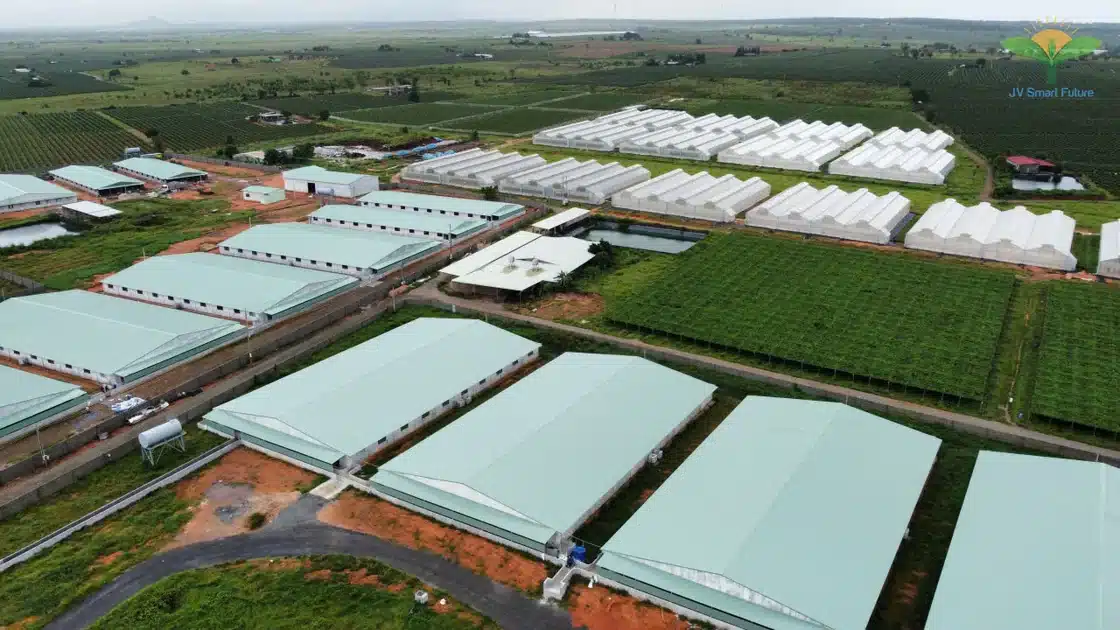 Trang trại heo CNC sử dụng Organic Carbon NEMA2 xử lý môi trường - Ảnh 3