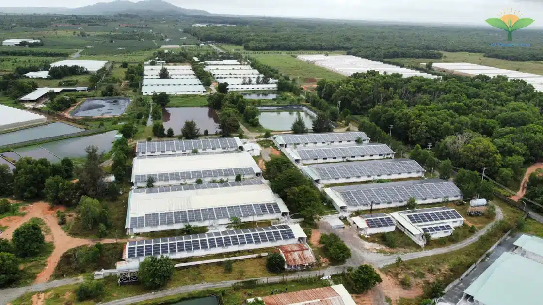 Trang trại heo CNC sử dụng Organic Carbon NEMA2 xử lý môi trường - Ảnh 5