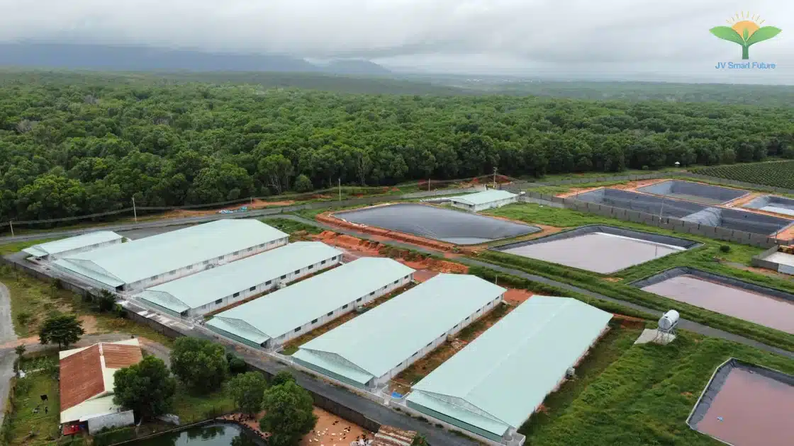 Trang trại heo CNC sử dụng Organic Carbon NEMA2 xử lý môi trường - Ảnh 6