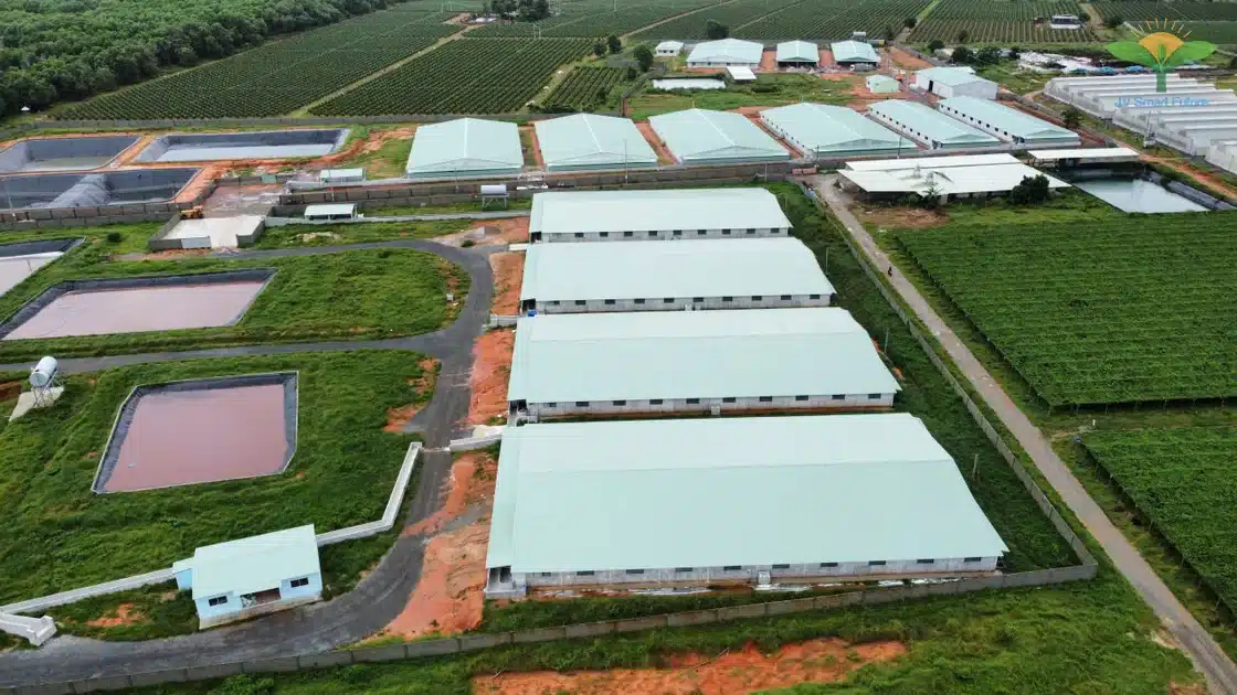 Trang trại heo CNC sử dụng Organic Carbon NEMA2 xử lý môi trường - Ảnh 7