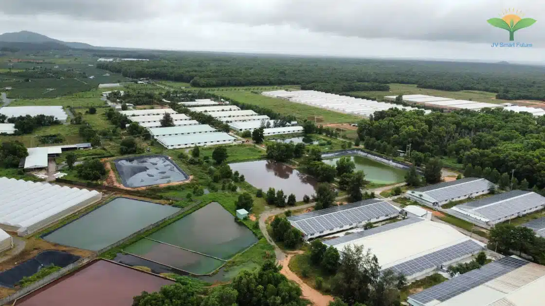 Trang trại heo CNC sử dụng Organic Carbon NEMA2 xử lý môi trường - Ảnh 8