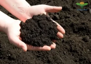 VỀ ỨNG DỤNG 110 Organic Carbon NEMA2 áp dụng ủ phân hữu cơ